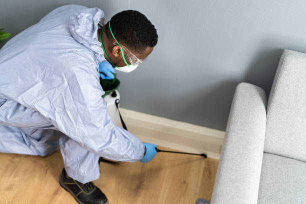 Best Fumigation Services  in Pittsburgh, PA